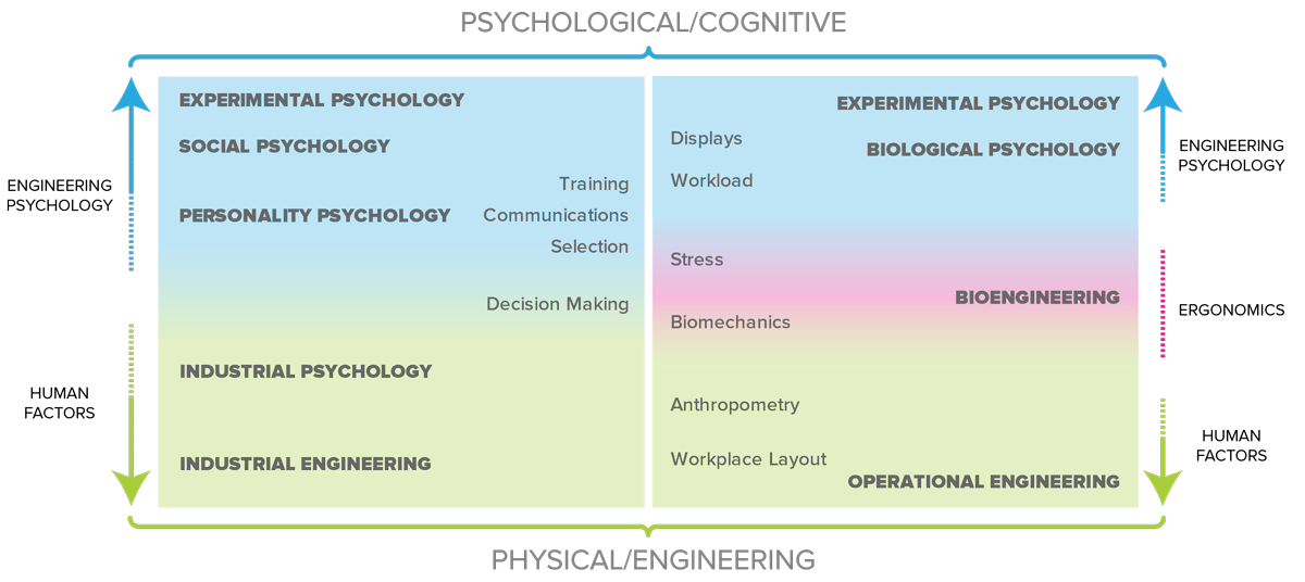 Website Usability: Human Factors or Engineering Psychology?